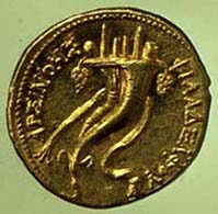 10 (30) Ptolemaios IV. Philometor, Gold-Oktadrachmon, um 181-145 v. Chr., Vs: Arsinoe II. mit Ammonshorn. Rv: Zwei Füllhörner.