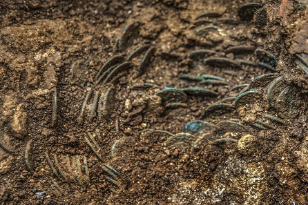 Teile des Münzschatzes von Ueken bei der Entdeckung. Mindestens ein Teil der Münzen wurde offenbar in Säcken aus Stoff oder Leder in der Erde vergraben. © Kanton Aargau. Foto: Béla Polyvàs.