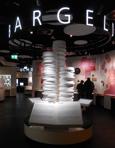 Bargeld: Der erste von vier Ausstellungsbereichen.