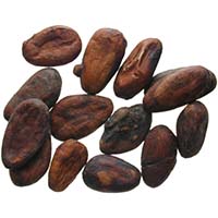 Central America, cocoa beans. Photo: MoneyMuseum Zurich.