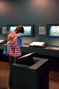 Alle Münzen und Medaillen werden über Touchscreens erschlossen, die von jedermann intuitiv bedient werden können. In der Medienstation können weitere Angebote abgerufen werden.